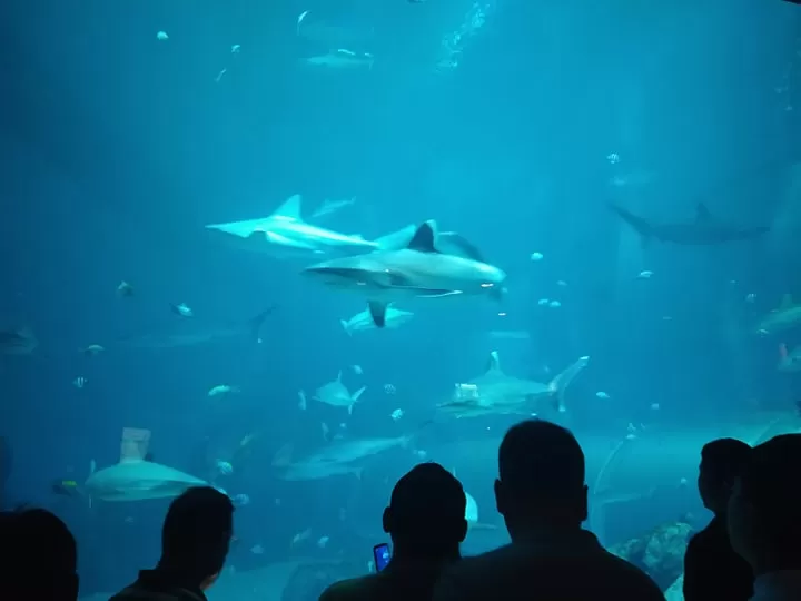 Photo of Sentosa Gateway, S.E.A. Aquarium, Sentosa Island, Singapore by Pratya Goyal