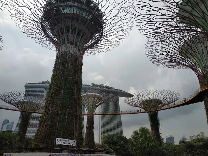 Photo of Marina Gardens Drive, Gardens by the Bay, Singapore by Pratya Goyal