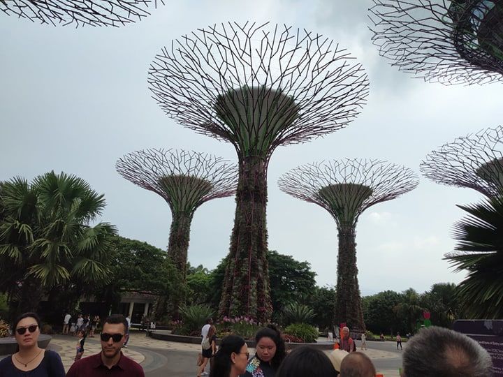 Photo of Marina Gardens Drive, Gardens by the Bay, Singapore by Pratya Goyal