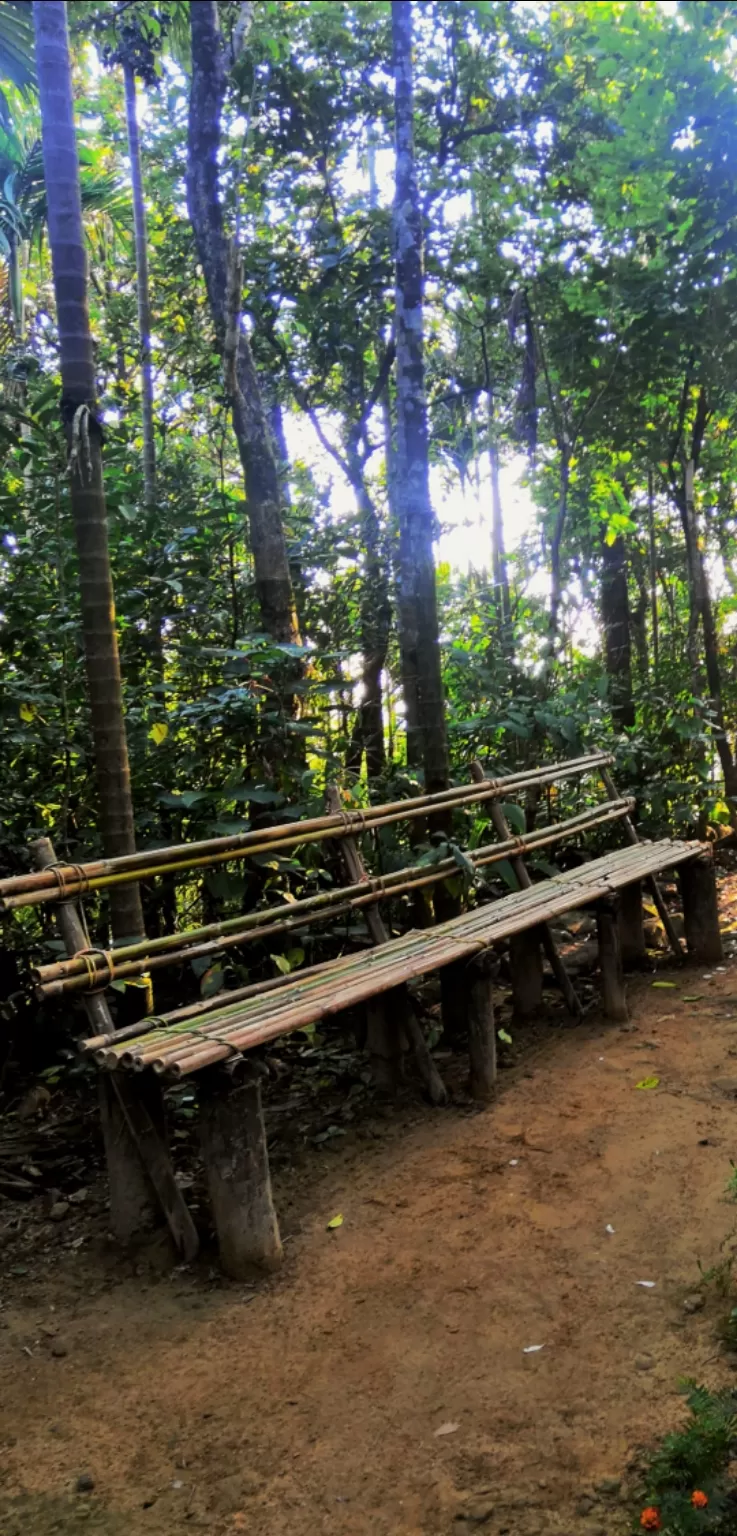 Photo of Mawlynnong - Cleanest Village, Mawlynnong, Meghalaya, India by VALLARI MISTRY