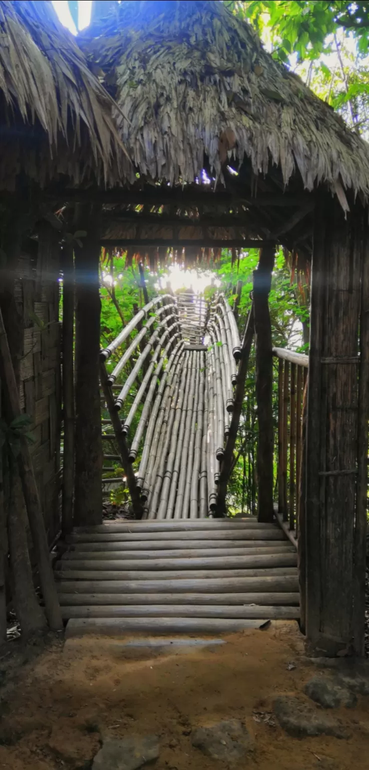 Photo of Mawlynnong - Cleanest Village, Mawlynnong, Meghalaya, India by VALLARI MISTRY