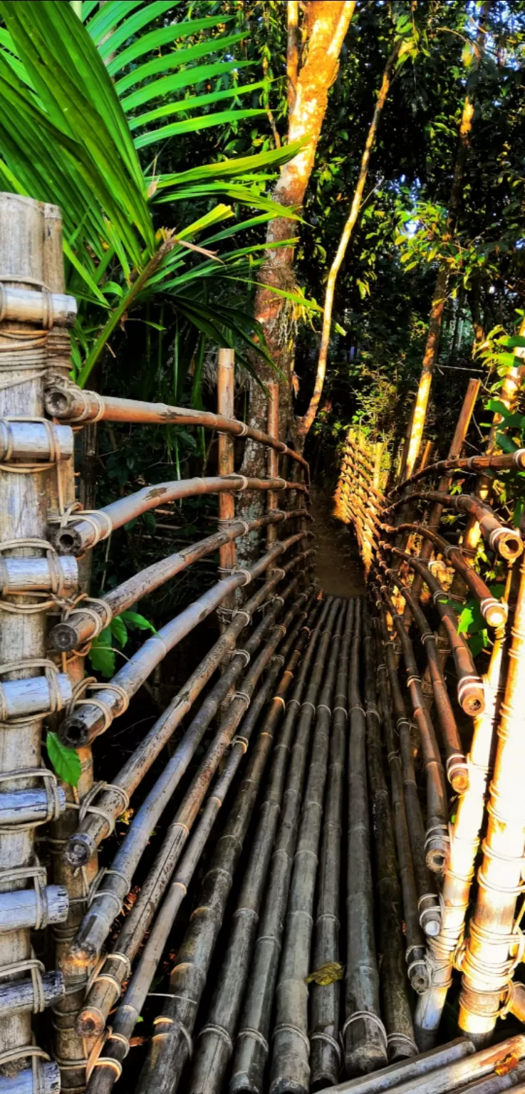 Photo of Mawlynnong - Cleanest Village, Mawlynnong, Meghalaya, India by VALLARI MISTRY