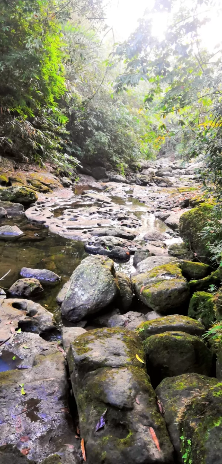 Photo of Mawlynnong - Cleanest Village, Mawlynnong, Meghalaya, India by VALLARI MISTRY