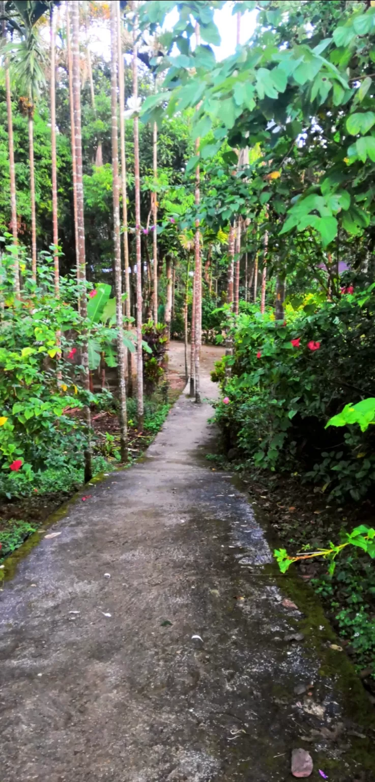 Photo of Mawlynnong - Cleanest Village, Mawlynnong, Meghalaya, India by VALLARI MISTRY