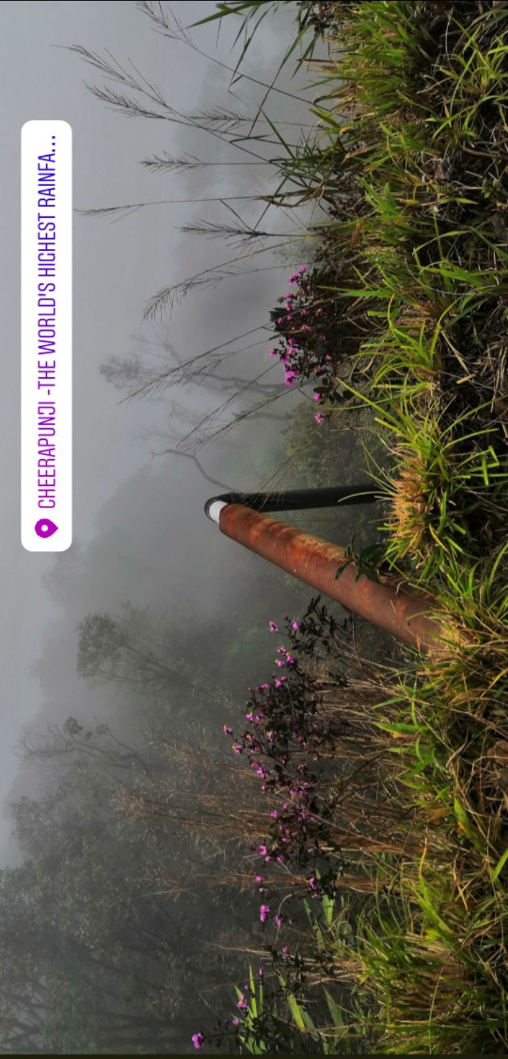 Photo of Cherrapunjee, Meghalaya, India by VALLARI MISTRY