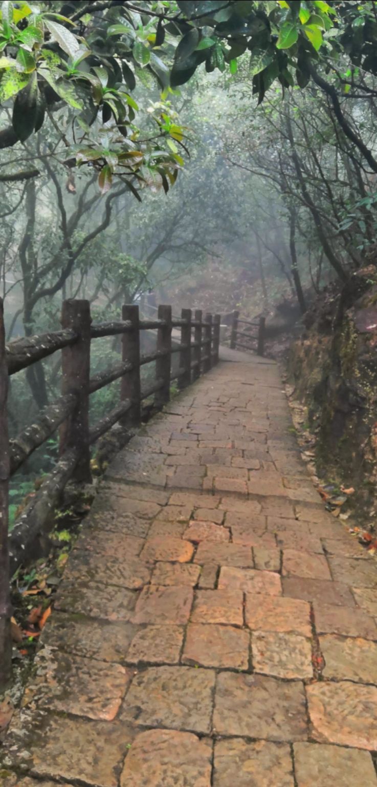 Photo of Cherrapunjee, Meghalaya, India by VALLARI MISTRY