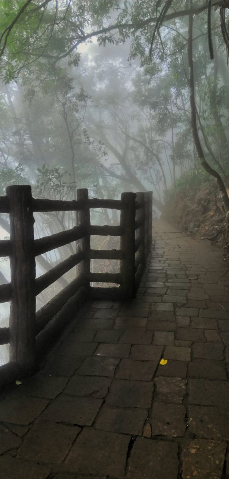 Photo of Cherrapunjee, Meghalaya, India by VALLARI MISTRY