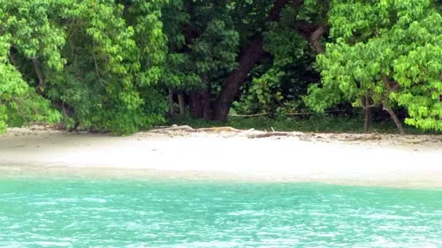 Photo of JOLLY BUOY, South Andaman, Andaman and Nicobar Islands, India by Meha Sinha