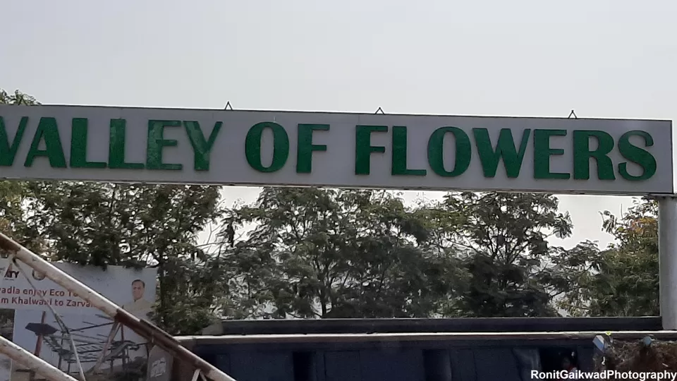 Photo of Valley of Flowers (ફ્લાવર વેલી), Gujarat, India by Ronit Rajesh Gaikwad
