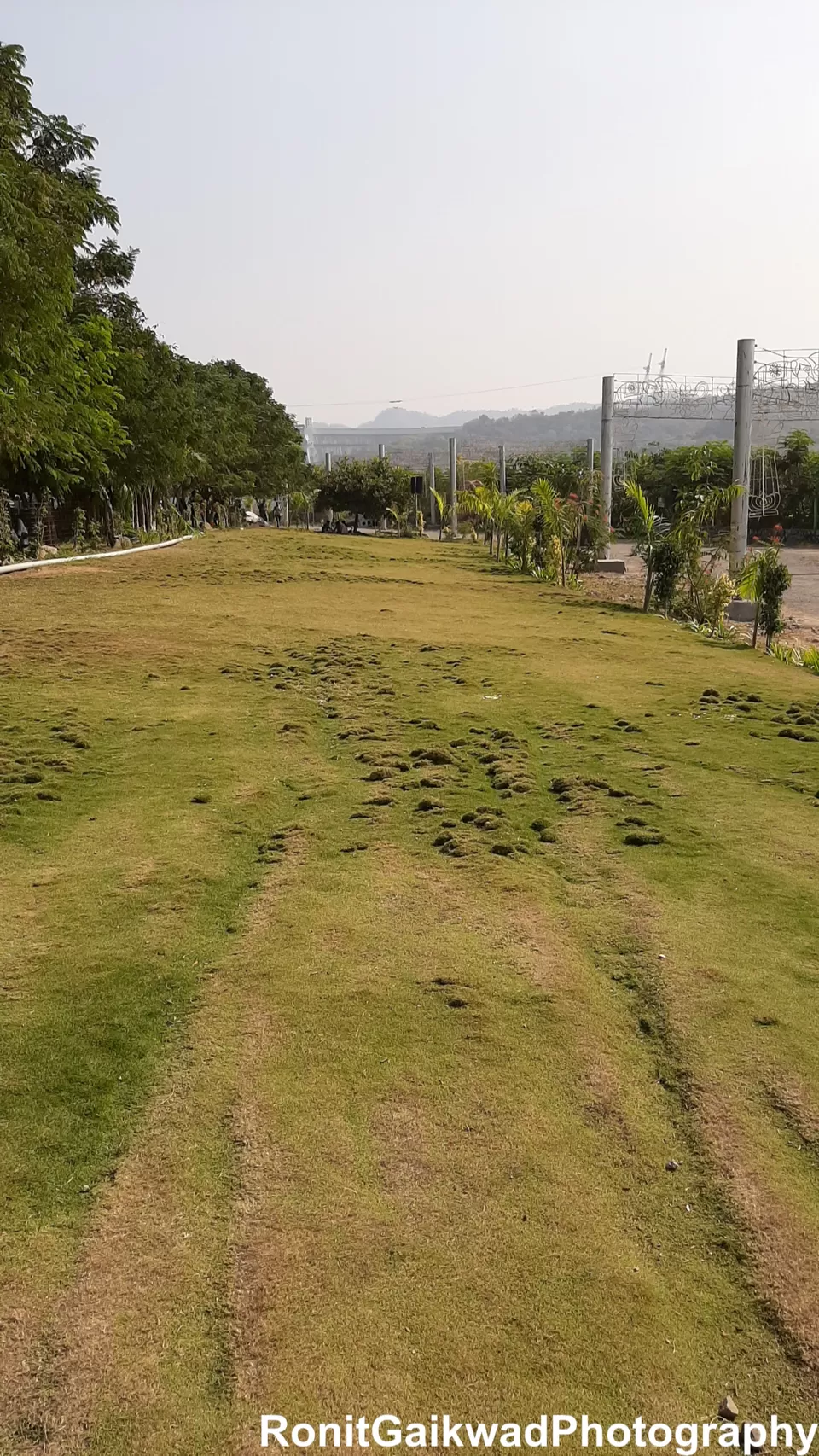 Photo of Valley of Flowers (ફ્લાવર વેલી), Gujarat, India by Ronit Rajesh Gaikwad