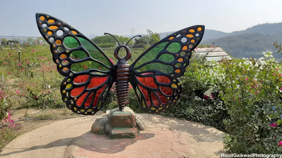 Photo of Valley of Flowers (ફ્લાવર વેલી), Gujarat, India by Ronit Rajesh Gaikwad
