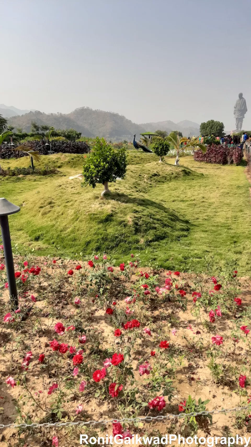 Photo of Valley of Flowers (ફ્લાવર વેલી), Gujarat, India by Ronit Rajesh Gaikwad