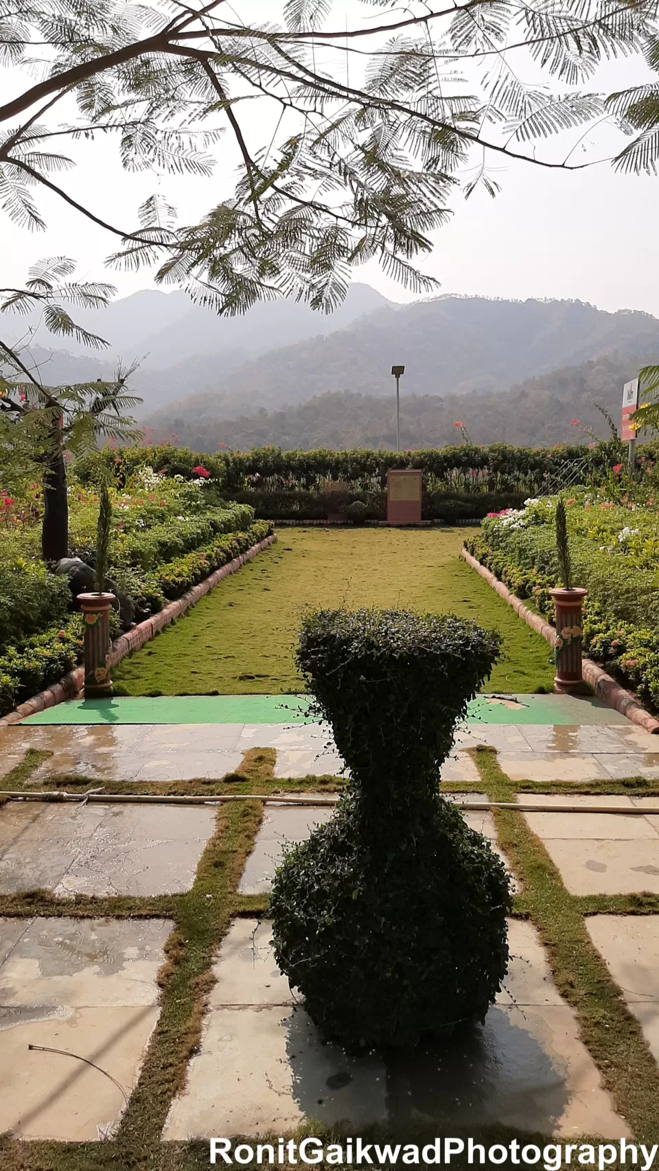 Photo of Valley of Flowers (ફ્લાવર વેલી), Gujarat, India by Ronit Rajesh Gaikwad