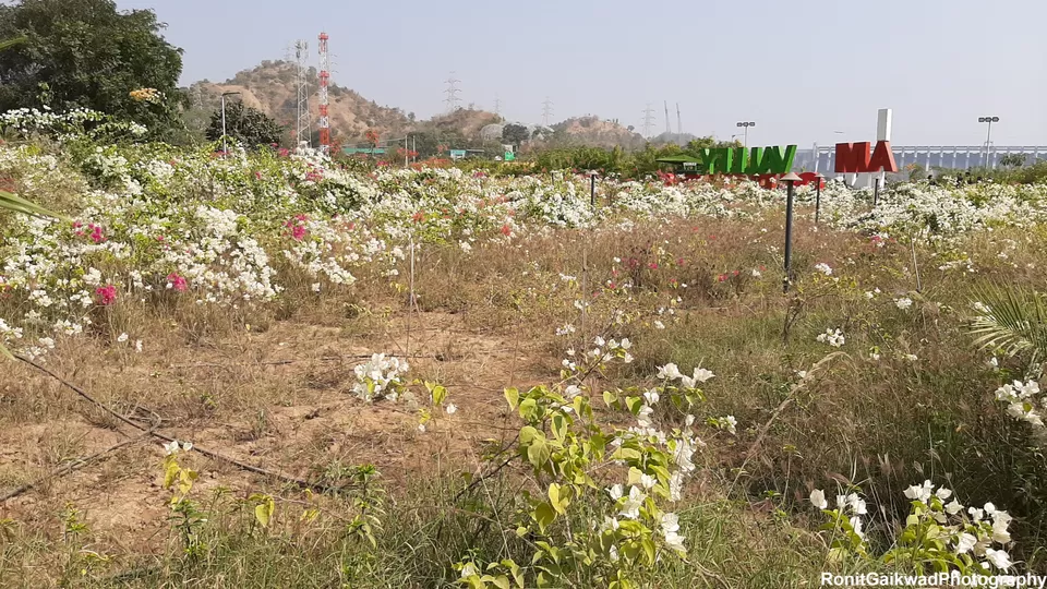 Photo of Valley of Flowers (ફ્લાવર વેલી), Gujarat, India by Ronit Rajesh Gaikwad