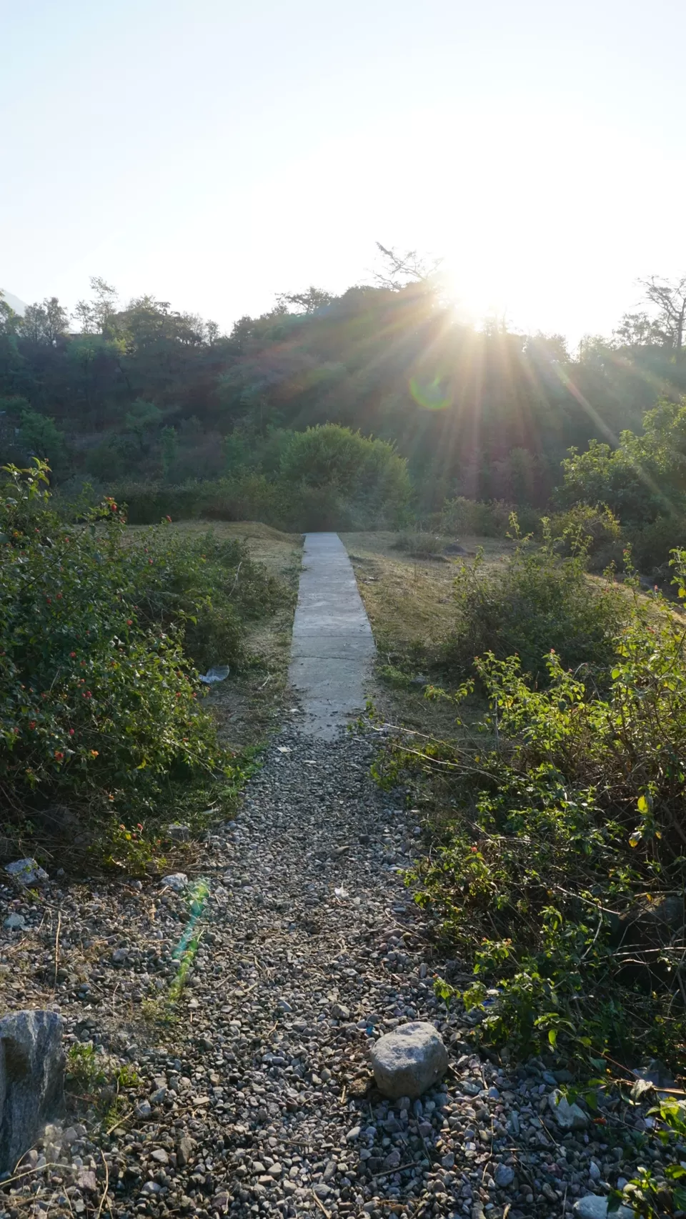 Photo of Dharamshala: A joy of discoveries by Soha