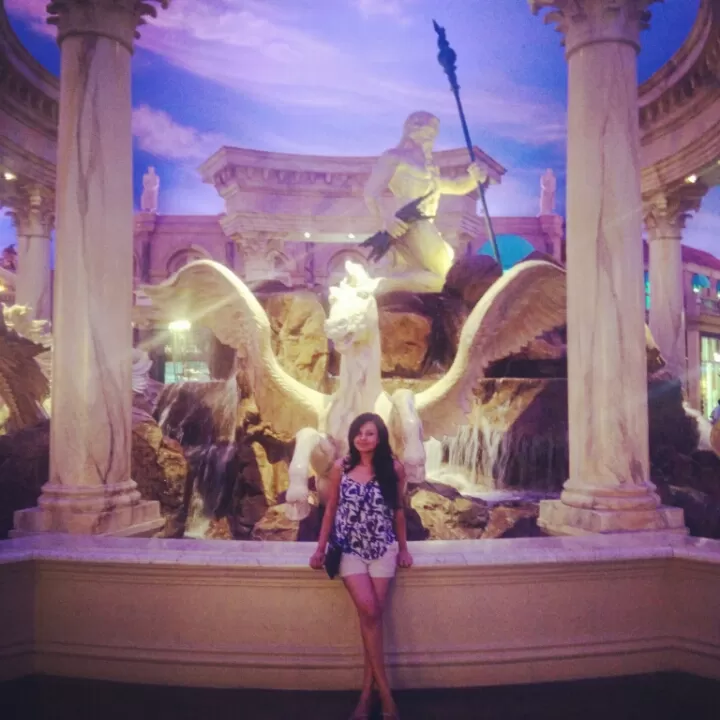 Photo of Bellagio, Ceaser's Palace, S Las Vegas BlvdLas Vegas, NV 89109 by Deepika Rout