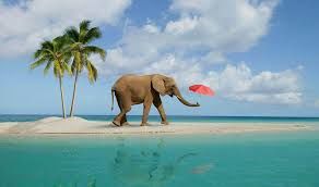 Photo of 7 Places To Visit In The Andaman And Nicobar Islands by Shivam vashishth