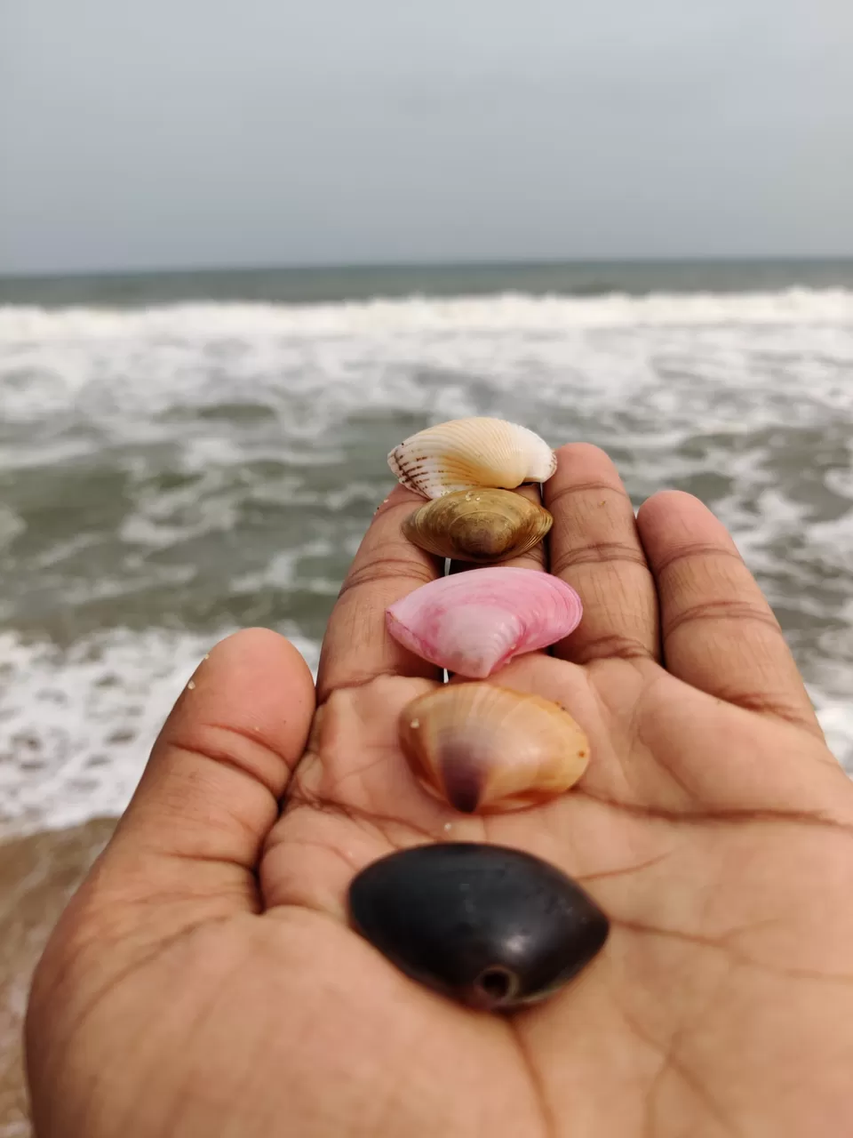 Photo of Pondi_cherry by Rohit Bansal