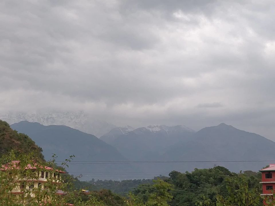 Photo of Triund trek(winter edition) from delhi 3/23 by Ishani Chander