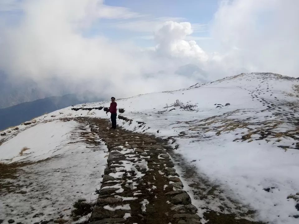 Photo of Track to Khalia Top, Khaliya, Uttarakhand, India by devendra singh