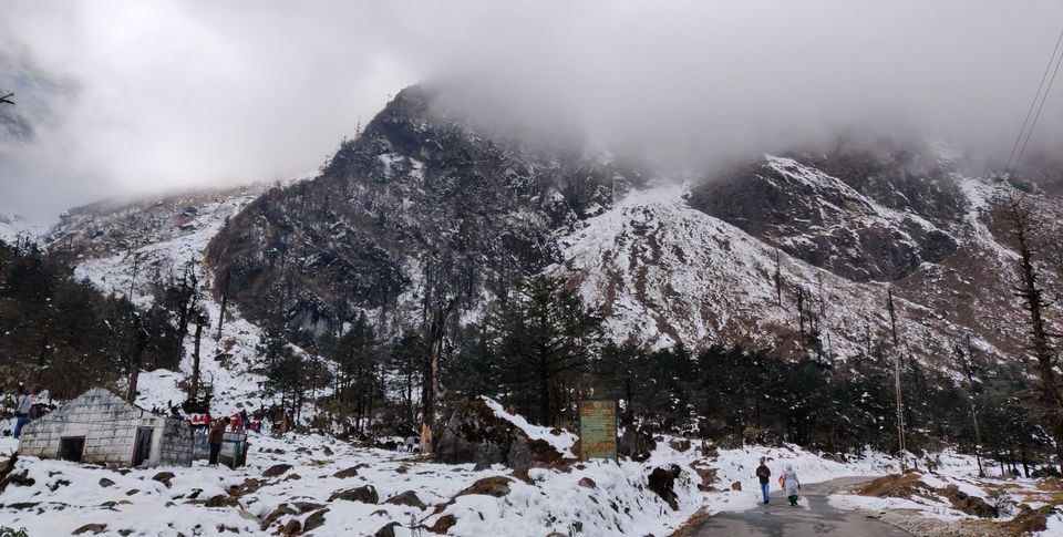 Photo of Yumthang, Sikkim, India by Shalini Gupta
