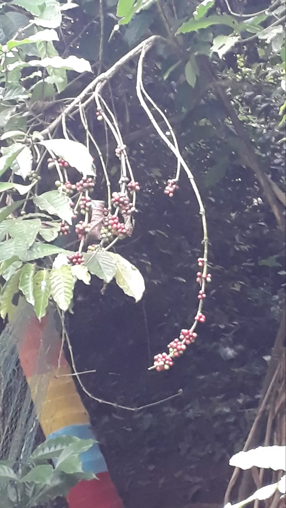 Photo of Days pass quickly while travelling by Phani Susarla