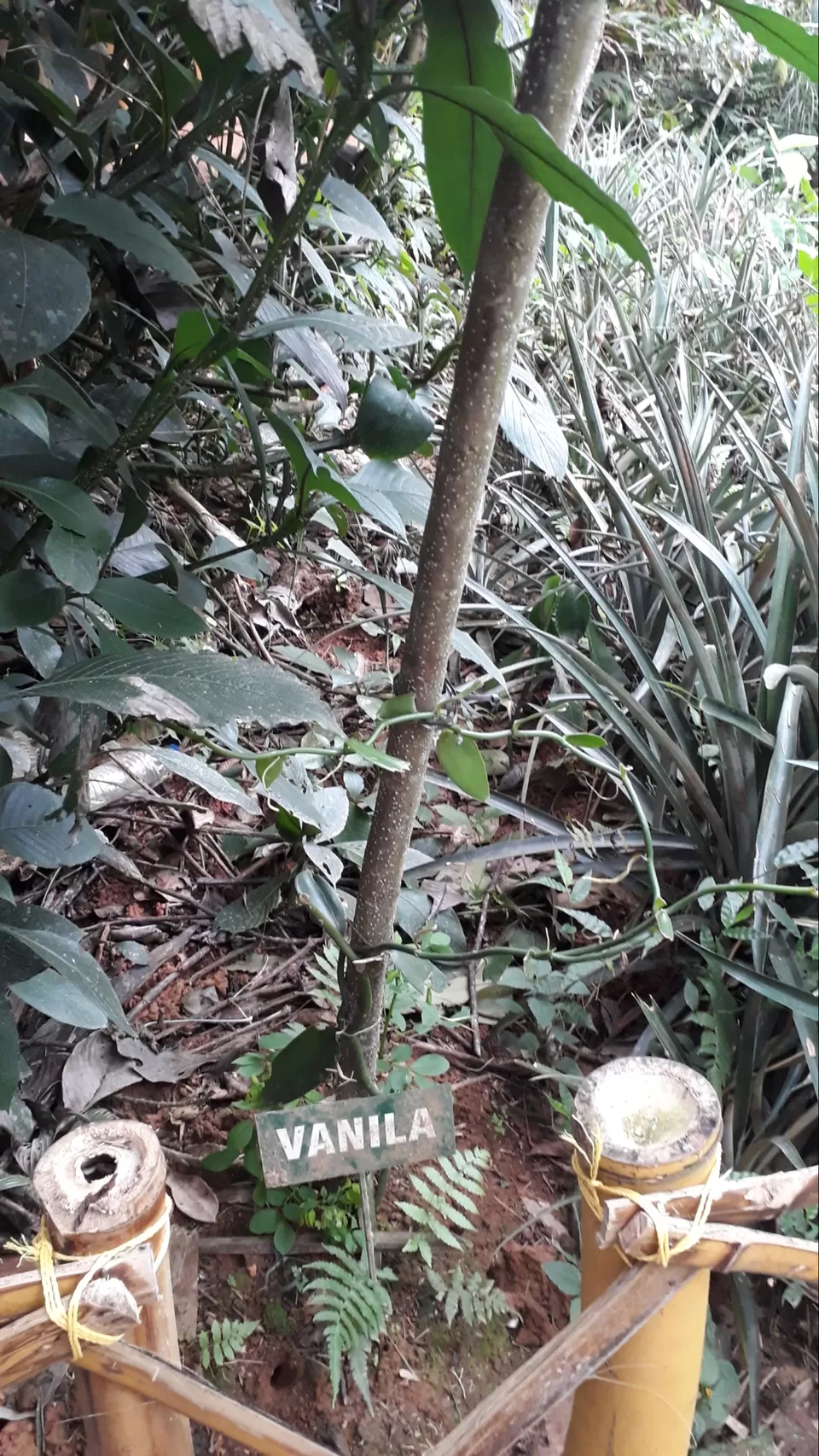 Photo of Days pass quickly while travelling by Phani Susarla