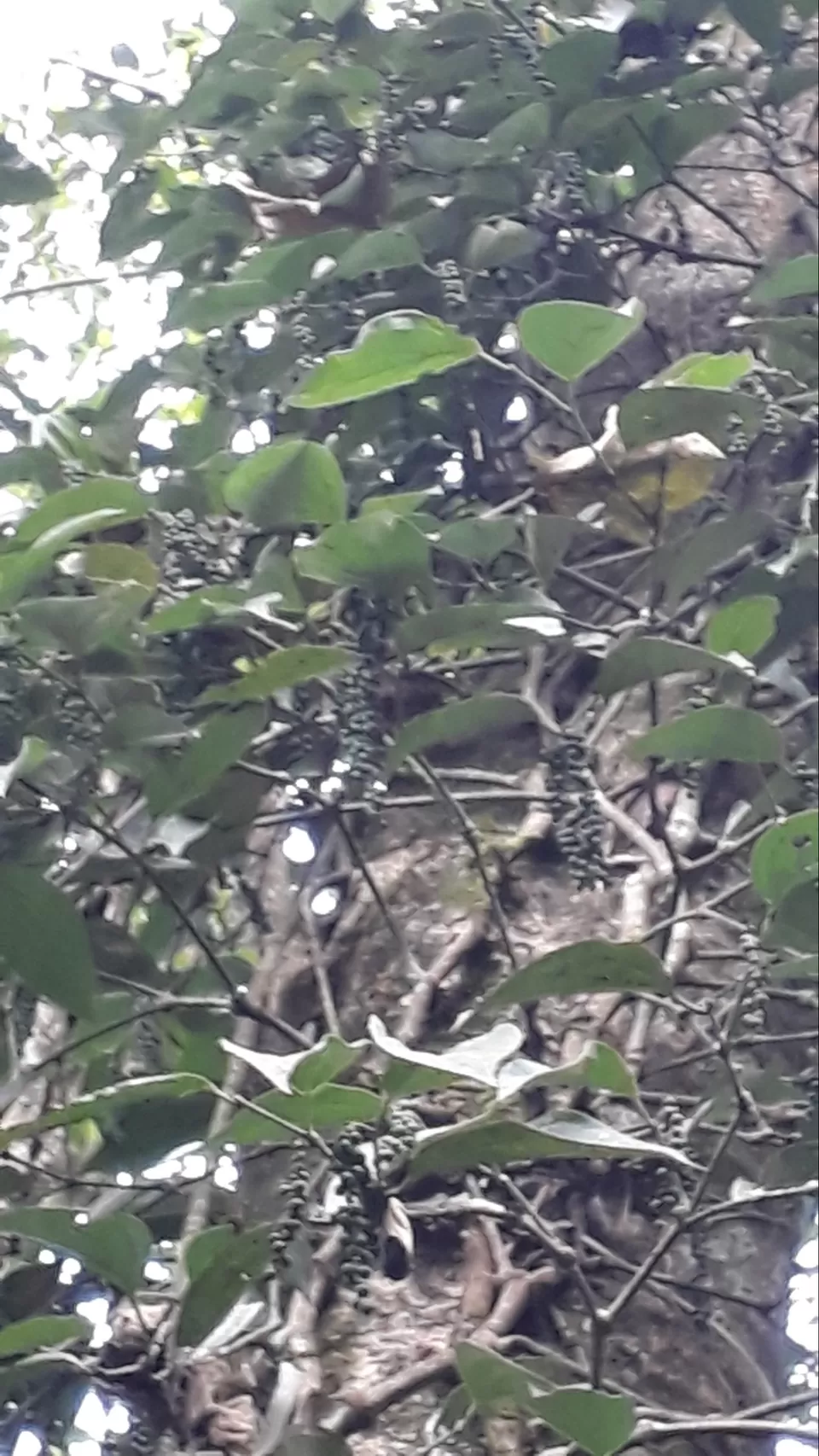 Photo of Days pass quickly while travelling by Phani Susarla