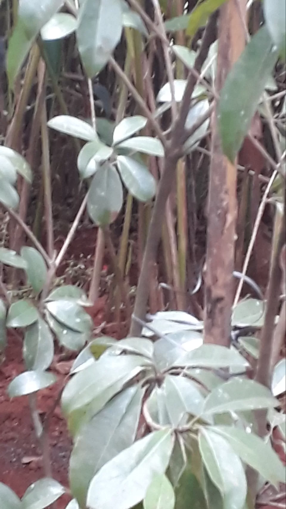 Photo of Days pass quickly while travelling by Phani Susarla