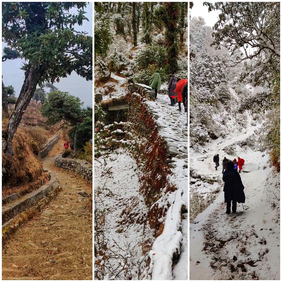 Photo of Brahmatal , The Himalayan Trek by Shreekara udupa