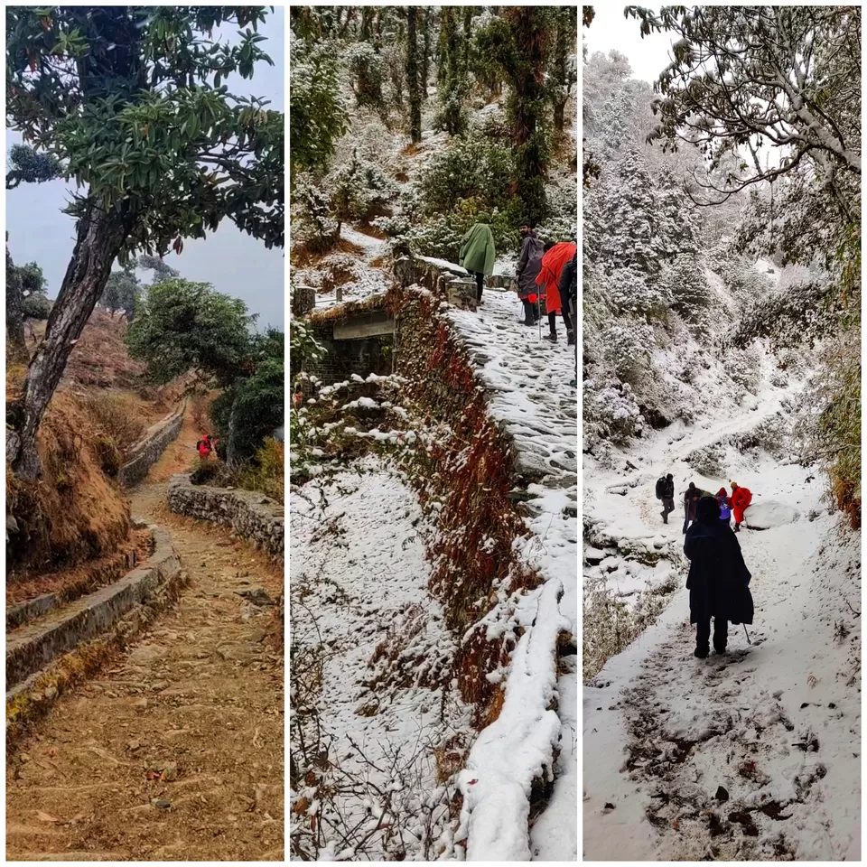 Photo of Brahmatal , The Himalayan Trek by Shreekara udupa