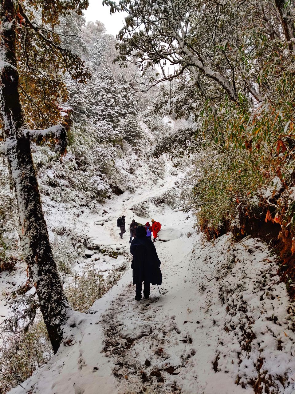 Photo of Brahmatal , The Himalayan Trek by Shreekara udupa