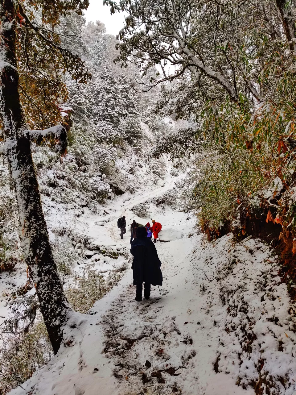 Photo of Brahmatal , The Himalayan Trek by Shreekara udupa
