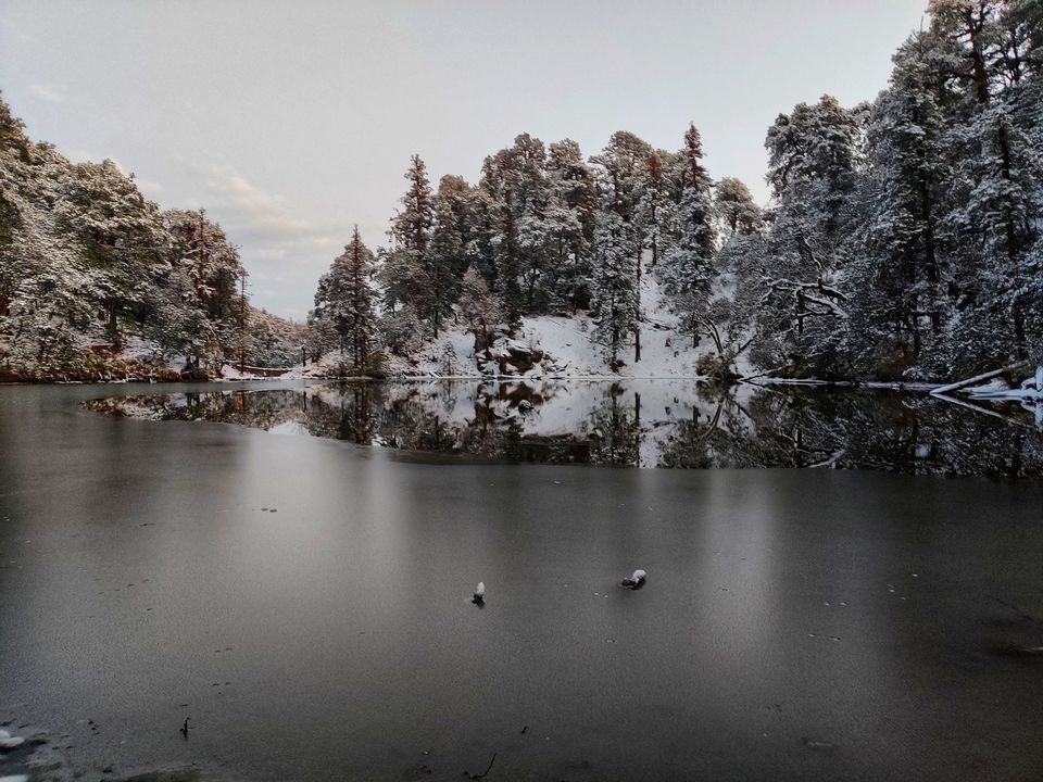 Photo of Brahmatal , The Himalayan Trek by Shreekara udupa