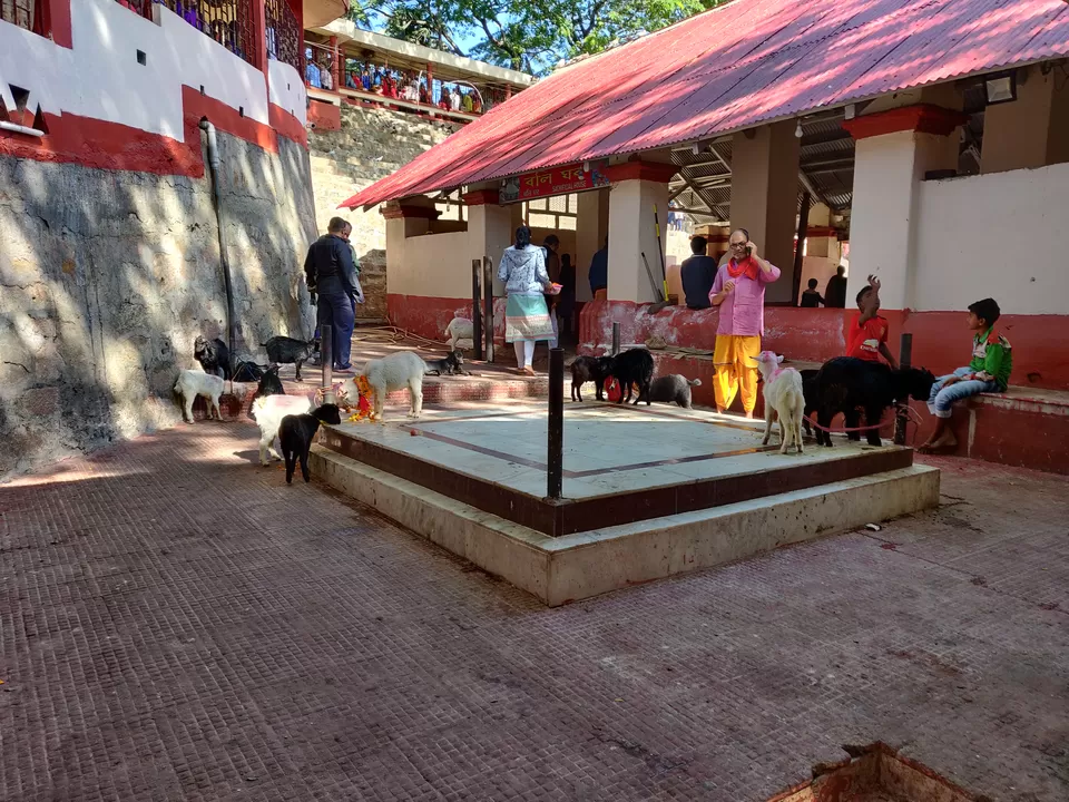 Photo of Kamakhya Temple, Kamakhya, Guwahati, Assam, India by Shreekara udupa