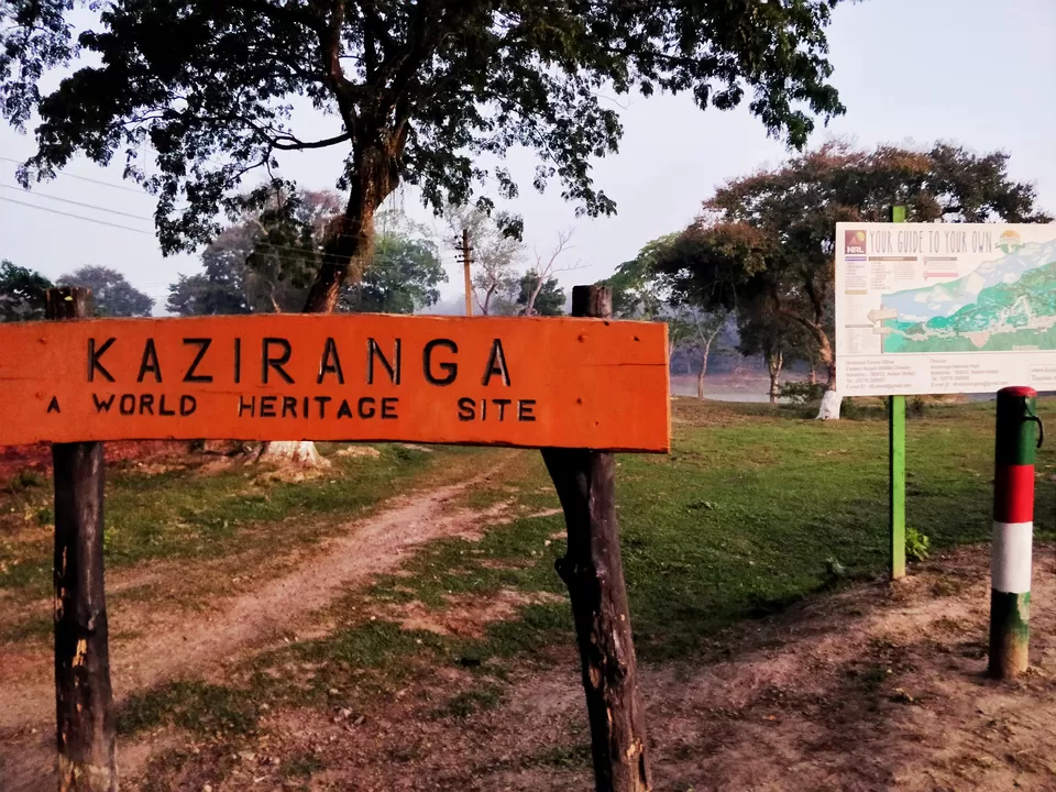 Photo of Kaziranga National Park, Kanchanjuri, Assam, India by Shreekara udupa