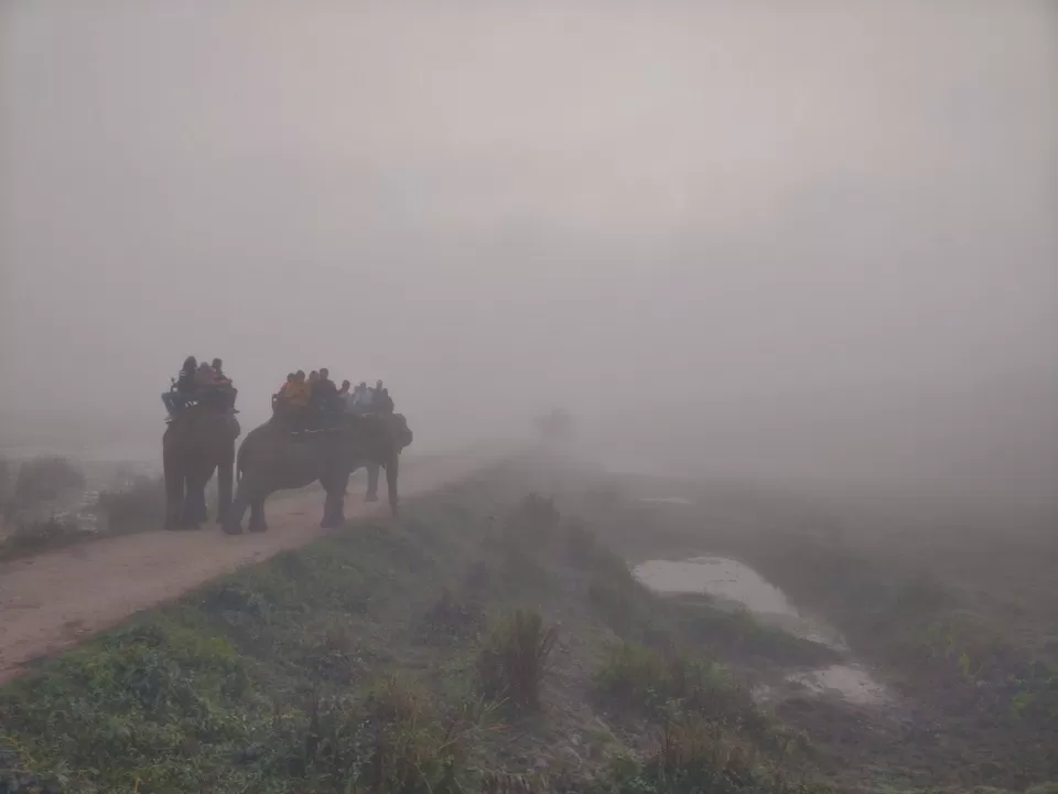 Photo of Kaziranga National Park, Kanchanjuri, Assam, India by Shreekara udupa