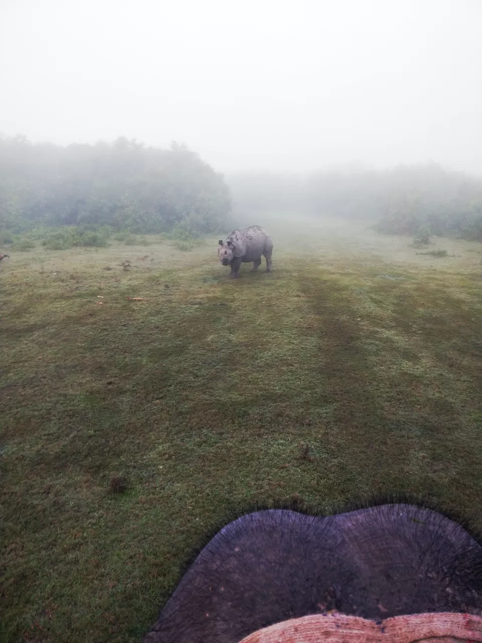 Photo of One Horned Rhino Camp, Lukhura-Khonia, Assam, India by Shreekara udupa