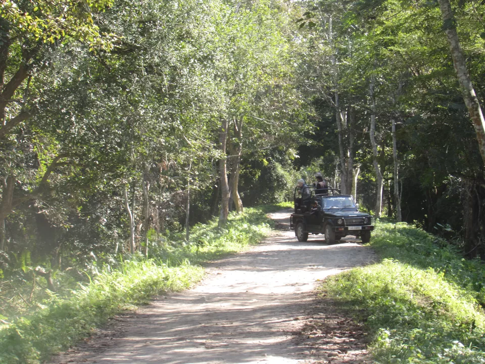 Photo of One Horned Rhino Camp, Lukhura-Khonia, Assam, India by Shreekara udupa