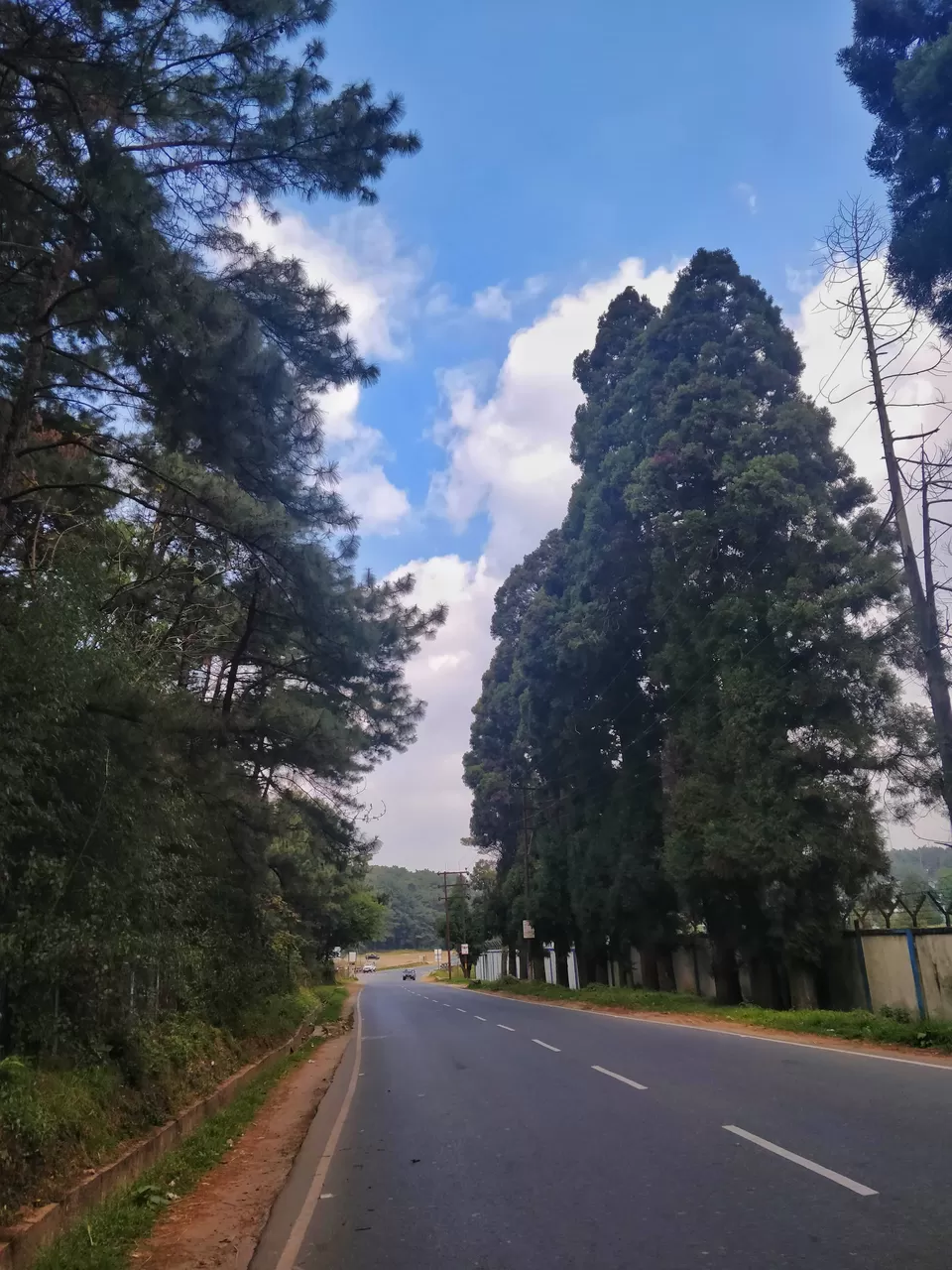 Photo of Shillong, Meghalaya, India by Shreekara udupa