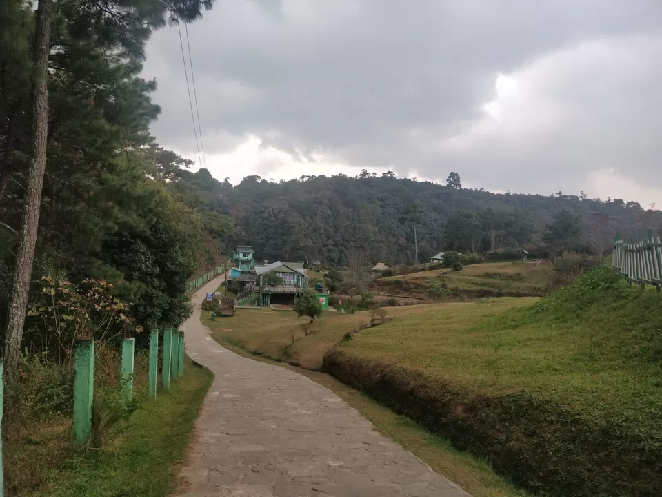 Photo of Upper Shillong Forest, Law Sohtun, Shillong, Meghalaya, India by Shreekara udupa