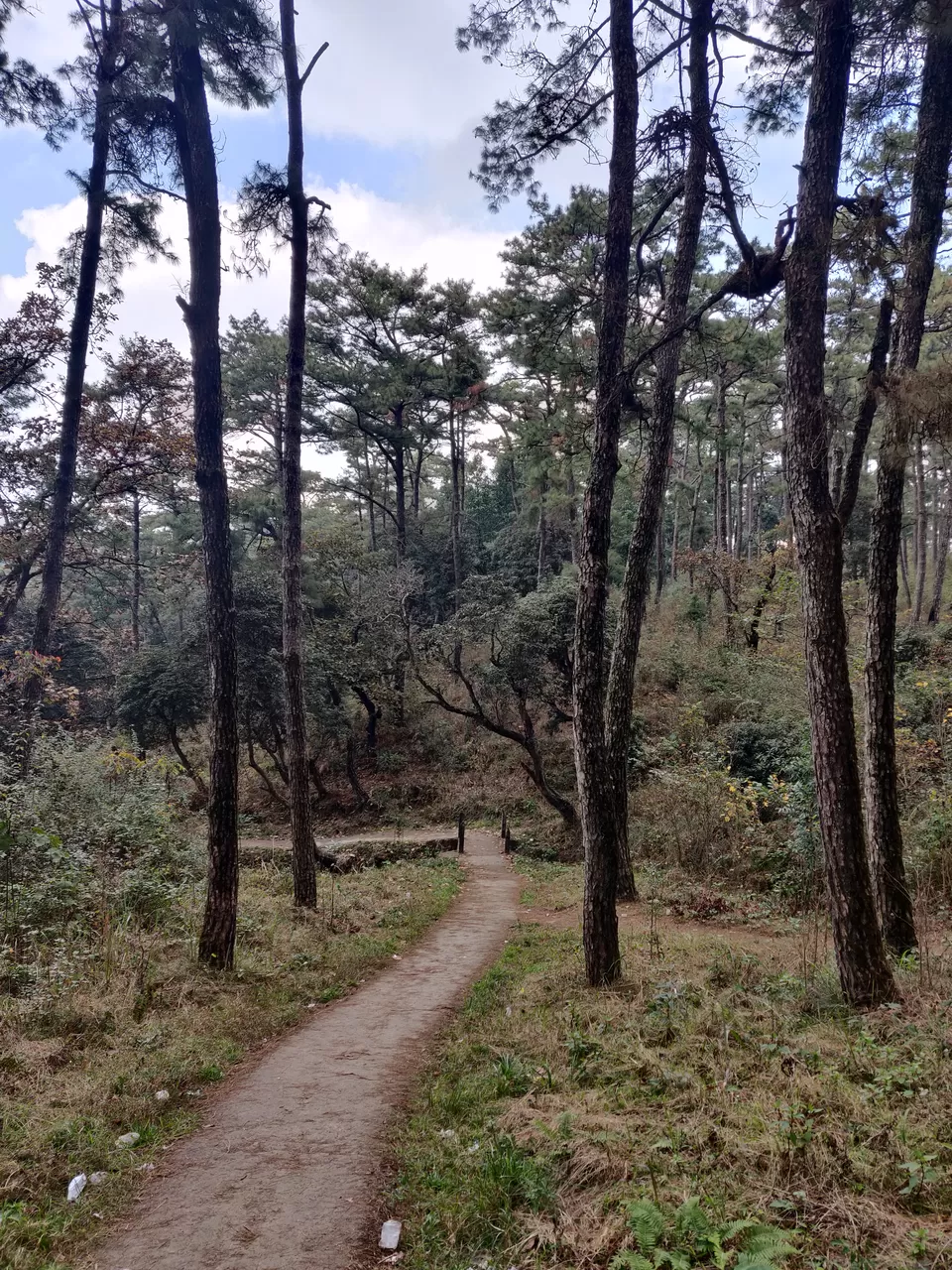 Photo of Upper Shillong Forest, Law Sohtun, Shillong, Meghalaya, India by Shreekara udupa