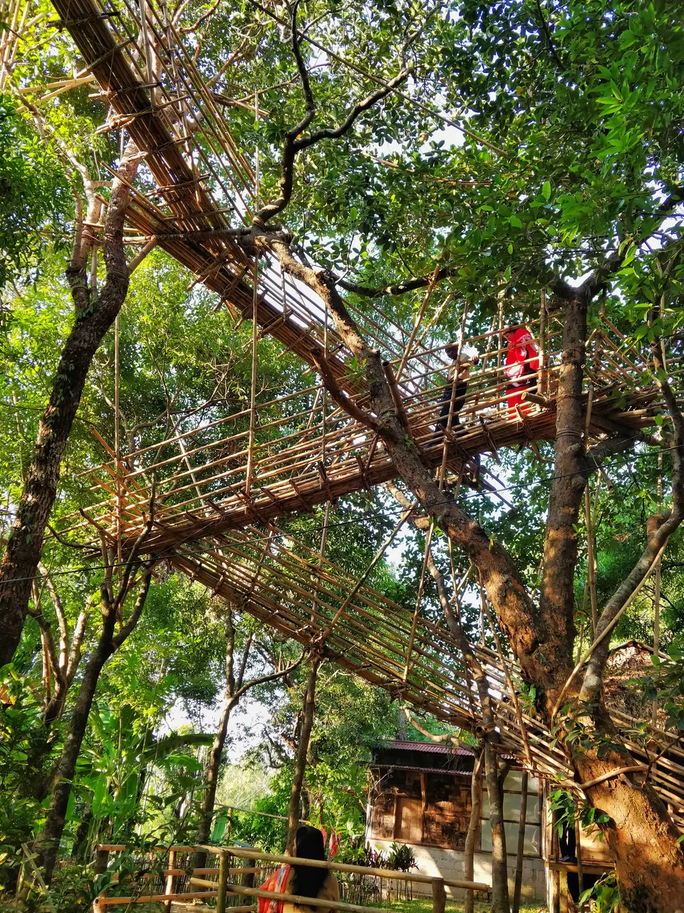 Photo of Mawlynnong - Cleanest Village, Mawlynnong, Meghalaya, India by Shreekara udupa