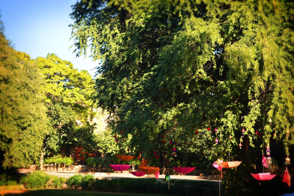 Photo of Samode Palace 1 day Trip from Jaipur 14/15 by Aditi Das