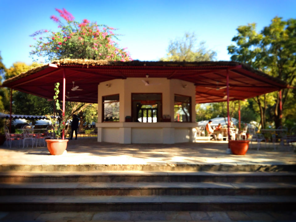 Photo of Samode Palace 1 day Trip from Jaipur 15/15 by Aditi Das