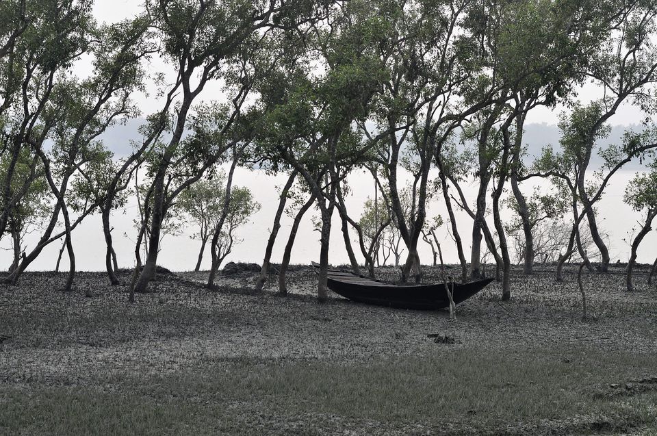 Photo of Visiting Sunderbans: The land of Dokhin Rai 3/4 by Chayanika Sen