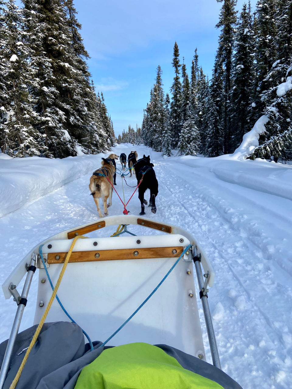 Photo of Just Short of Magic, Chena Hot Springs Road, Fairbanks, AK, USA by Ghumakkad