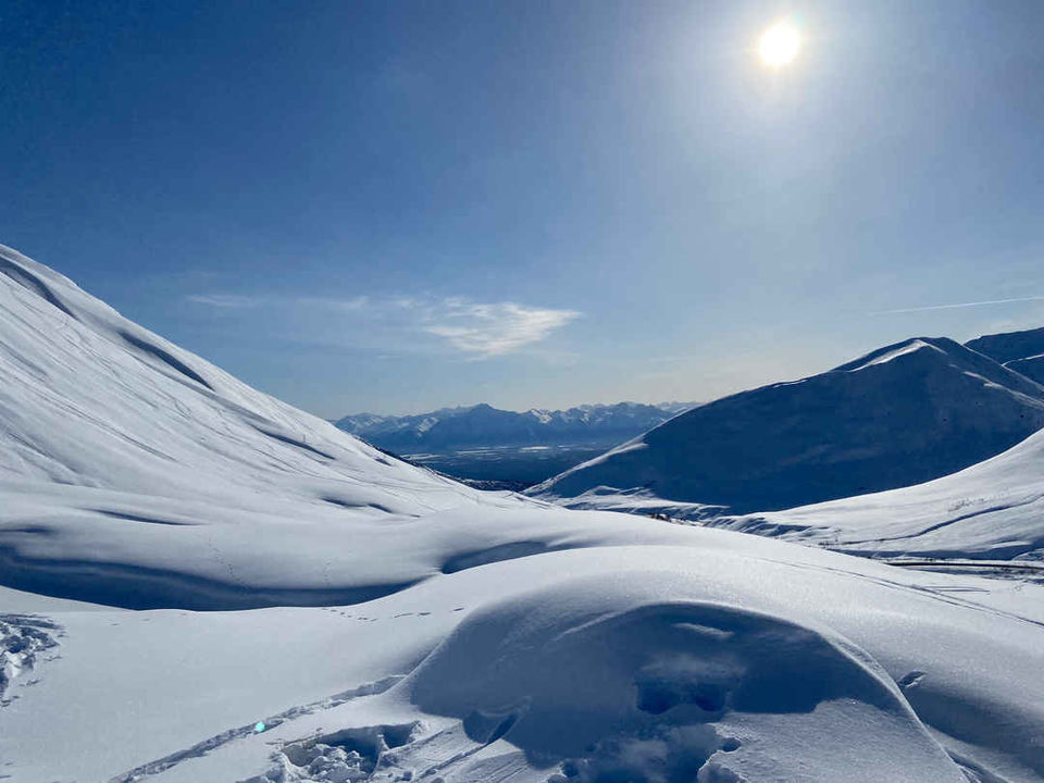 Photo of Willow, Alaska, USA by Ghumakkad