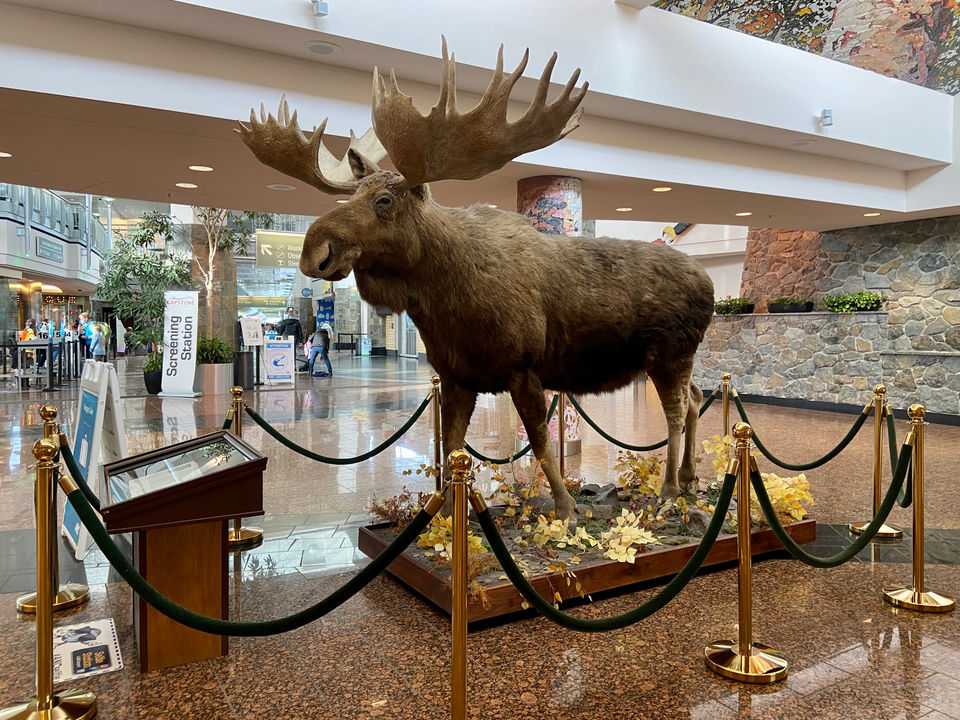 Photo of Anchorage, AK, USA by Ghumakkad