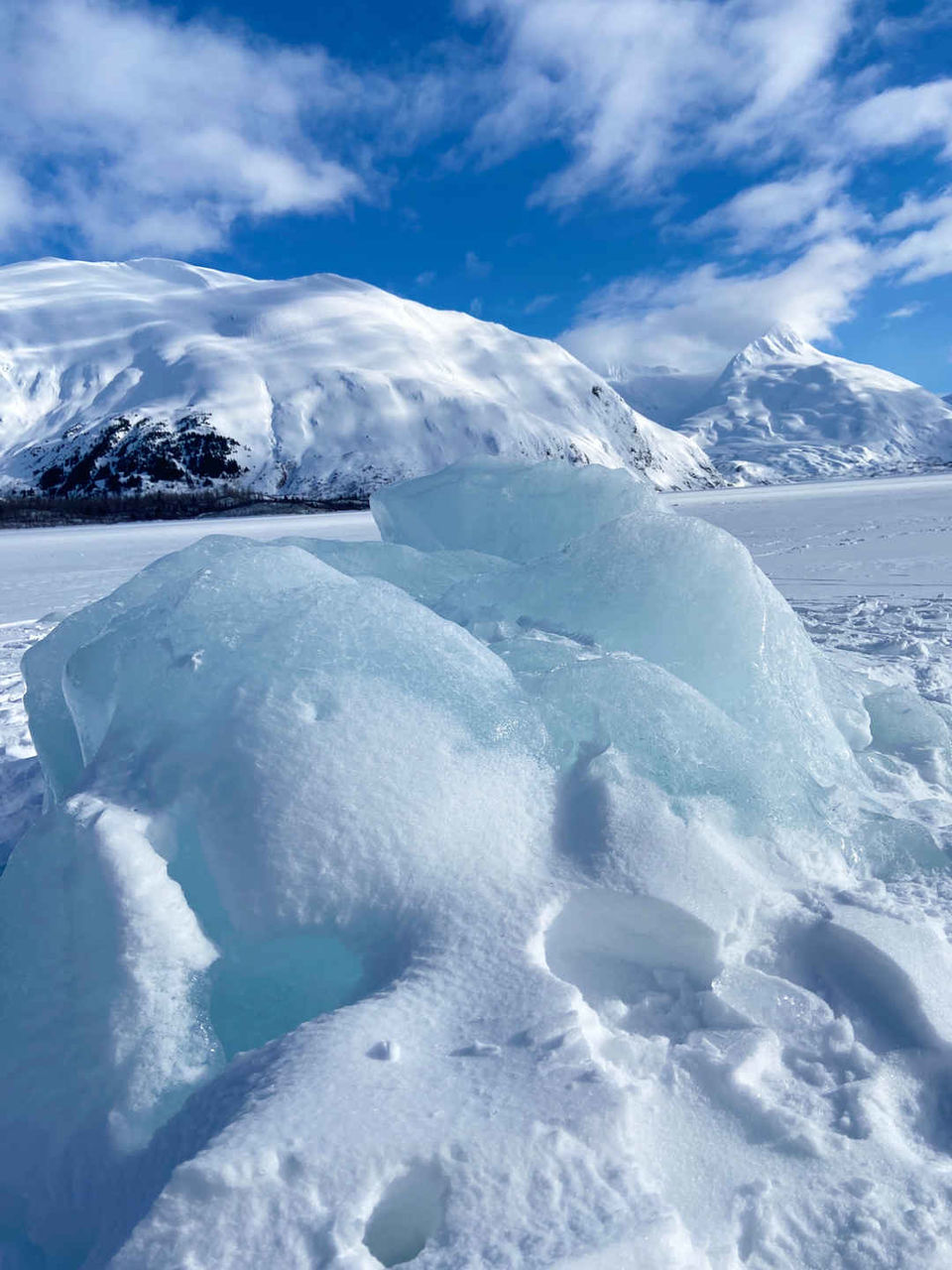 Photo of Turnagain Arm, Alaska, USA by Ghumakkad